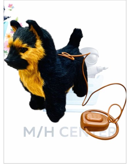 كلب شلاط الراقص